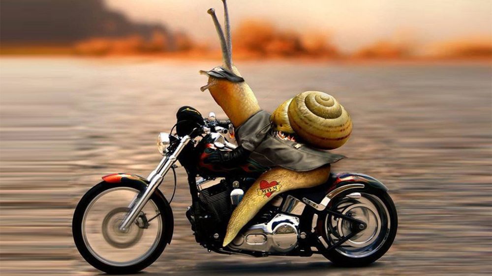 GASΟΛΟΓΙΕΣ #664 | ΑΠΑΓΟΡΕΥΕΤΑΙ ΤΟ ΚΥΝΗΓΙ